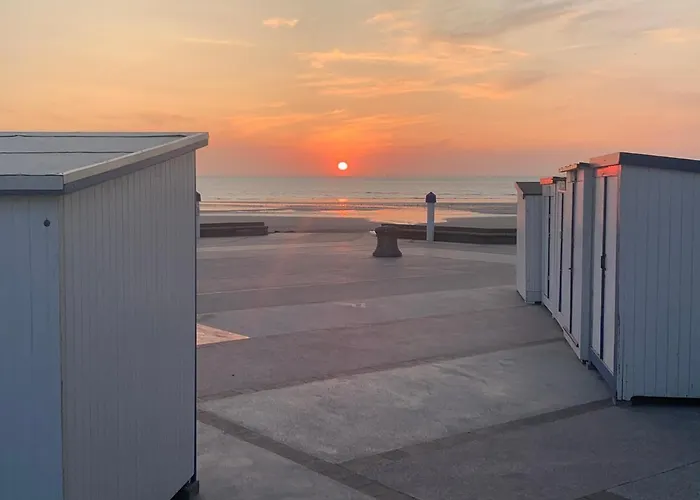 Entre Mer Et Commerces